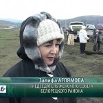 Акция по посадке деревьев в Азикеево