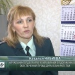 День работника налоговых органов РФ