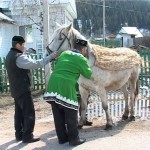 Мастера Белоречья. Ассинский сельский совет