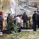 В Белорецке у одной из школ появилась еловая аллея