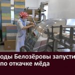 Пчеловоды Белозёровы запустили линию по откачке мёда