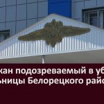 Задержан подозреваемый в убийстве жительницы Белорецкого района