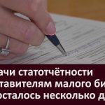 До сдачи статотчетности представителям малого бизнеса и ИП осталось несколько дней