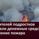 С родителей подростков взыскали денежные средства за тушение пожара