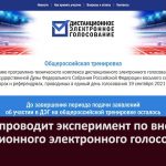 ЦИК РФ проводит эксперимент по внедрению дистанционного электронного голосования