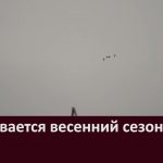 Открывается весенний сезон охоты