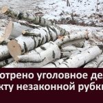 Рассмотрено уголовное дело по факту незаконной рубки леса