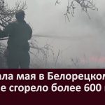 С начала мая в Белорецком районе сгорело более 600 га леса