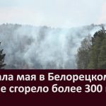 С начала мая в Белорецком районе сгорело более 300 га леса