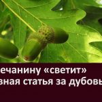 Белоречанину «светит» уголовная статья за дубовый забор