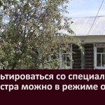 Консультироваться со специалистами Росреестра можно в режиме онлайн