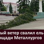 Сильный ветер свалил ель на площади Металлургов