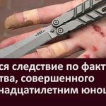 Ведется следствие по факту убийства, совершенного девятнадцатилетним юношей