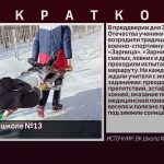 «Зарница» в школе №13