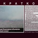 В лесном фонде Башкирии объявлен пожароопасный сезон