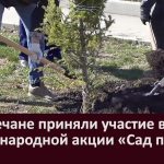 Белоречане приняли участие в международной акции «Сад памяти»
