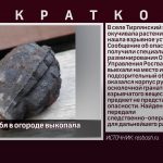 Тирлянка у себя в огороде выкопала гранату vlcsnap-2022-06-26-12h21m57s372