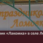 Праздник «Лакомка» в селе Ломовка.mp4_snapshot_00.02_[2022.08.24_09.22.17]