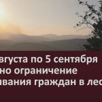 С 23 августа по 5 сентября введено ограничение пребывания граждан в лесах.mp4_snapshot_00.02_[2022.08.24_09.24.18]