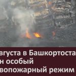С 25 августа в Башкортостане введён особый противопожарный режим.mp4_snapshot_00.02_[2022.09.03_10.12.38]