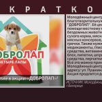 Примите участие в акции «ДОБРОЛАП».mp4_snapshot_00.01_[2022.10.19_09.08.30]