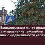 Жители Башкортостана могут подать заявку на исправление техошибки в сведениях о недвижимости через Госуслуги.mp4_snapshot_00.03_[2022.10.27_09.06.42]