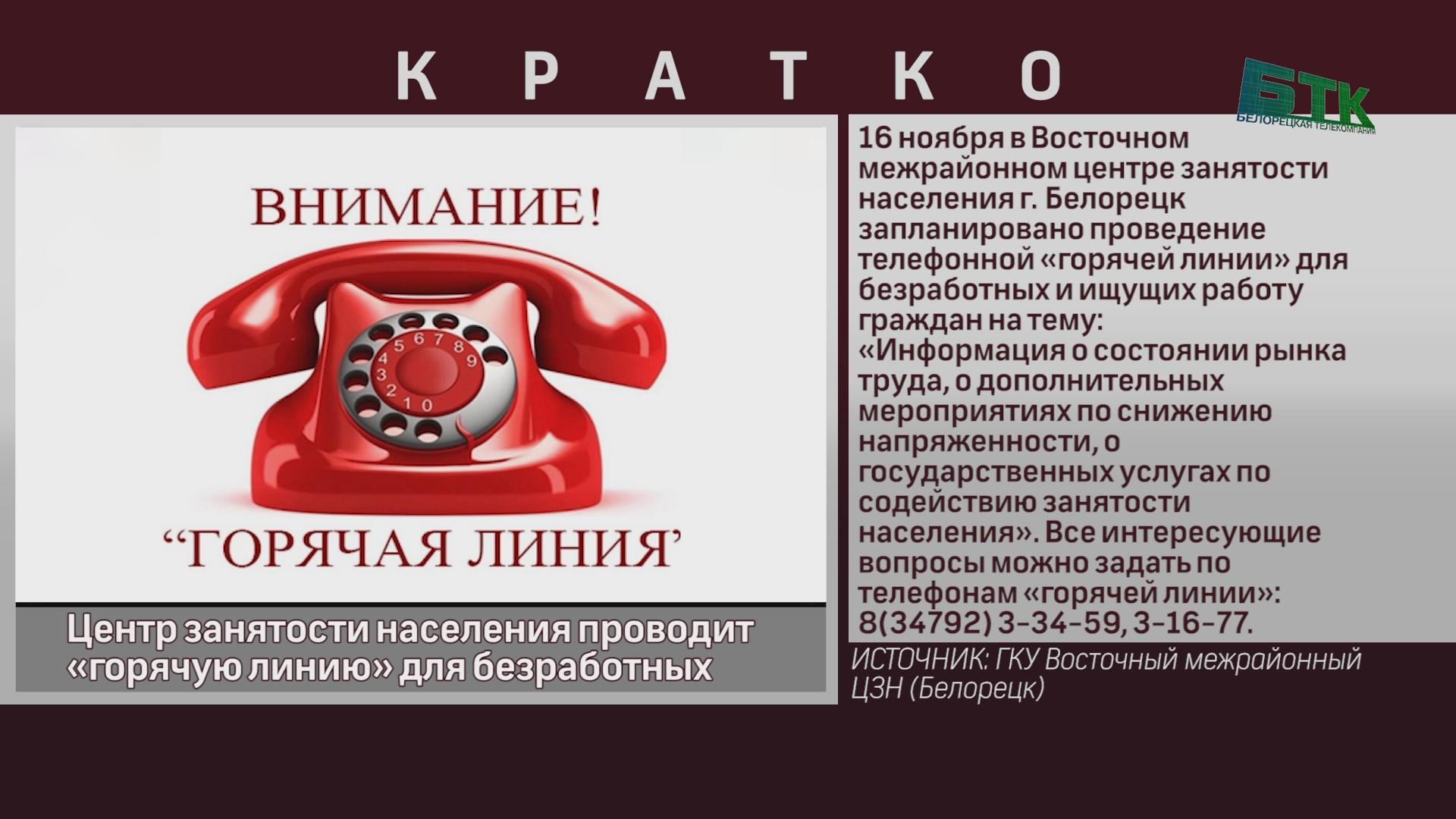 Центр занятости населения проводит «горячую линию» для безработных -  Новости Белорецка на русском языке - Белорецкая телекомпания