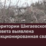 На территории Шигаевского сельсовета выявлена несанкционированная свалка.mp4_snapshot_00.01_[2022.11.16_09.08.53]