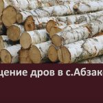 Похищение дров в с.Абзаково