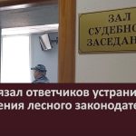 Суд обязал ответчиков устранить нарушения лесного законодательства.mp4_snapshot_00.02_[2022.11.27_09.12.20]