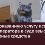 За не оказанную услугу истец с туроператора в суде взыскал денежные средства.mp4_snapshot_00.02_[2022.11.01_08.58.59]