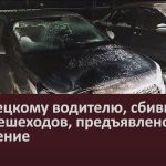 Белорецкому водителю, сбившему двух пешеходов, предъявлено обвинение.mp4_snapshot_00.02_[2023.01.14_09.59.13]