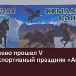 В Азикеево прошел V конно-спортивный праздник «Акбузат».mp4_snapshot_00.02_[2023.01.11_09.36.33]