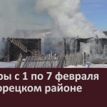 Пожары с 1 по 7 февраля в Белорецком районе.mp4_snapshot_00.02_[2023.02.09_09.01.43]
