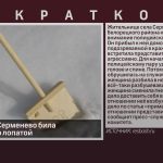 Жительница Серменево била полицейского лопатой.mp4_snapshot_00.01_[2023.02.08_08.54.01]
