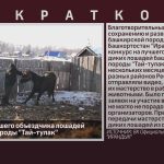 Конкурс на лучшего объездчика лошадей башкирской породы «Тай-тулак».mp4_snapshot_00.21_[2023.03.23_09.04.37]