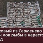 Участковый из Серменево пресёк лов рыбы в нерестовый период.mp4_snapshot_00.02_[2023.04.29_09.34.21]