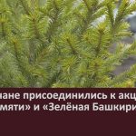 Белоречане присоединились к акциям «Сад памяти» и «Зелёная Башкирия».mp4_snapshot_00.01_[2023.05.16_09.02.16]