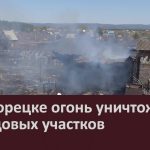 В Белорецке огонь уничтожил 20 садовых участков.mp4_snapshot_00.02_[2023.05.04_09.25.37]