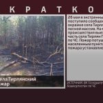В лесу возле села Тирлянский произошёл пожар