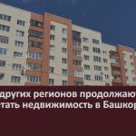 Жители других регионов продолжают приобретать недвижимость в Башкортостане.mp4_snapshot_00.02_[2023.05.31_09.17.14]