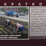 БМК запустил конкурс «Цветущий комбинат» к юбилею «Мечела».mp4_snapshot_00.02_[2023.06.07_09.27.20]