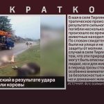 В селе Тирлянский в результате удара молнии погибли коровы.mp4_snapshot_00.01_[2023.06.08_08.53.38]