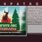 В Инзерском лесничестве случился пожар.mp4_snapshot_00.02_[2023.07.04_09.30.39]