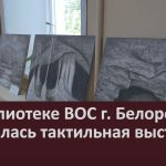 В библиотеке ВОС г. Белорецка открылась тактильная выставка.mp4_snapshot_00.02_[2023.07.12_09.13.10]