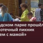 В городском парке прошёл библиотечный пикник «Читаем с мамой».mp4_snapshot_00.01_[2023.08.09_08.55.18]