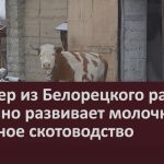 Фермер из Белорецкого района успешно развивает молочное и мясное скотоводство.mp4_snapshot_00.01_[2023.11.06_08.46.51]