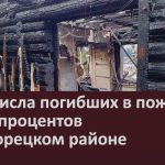 Рост числа погибших в пожарах на 50 процентов в Белорецком районе.mp4_snapshot_00.02_[2023.11.21_08.54.33]