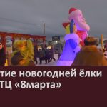 Открытие новогодней ёлки возле ТЦ «8марта».mp4_snapshot_00.04_[2023.12.27_09.25.34]