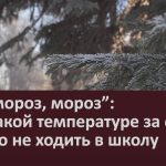 “Ой, мороз, мороз” при какой температуре за окном можно не ходить в школу.mp4_snapshot_00.01_[2023.12.09_09.06.32]